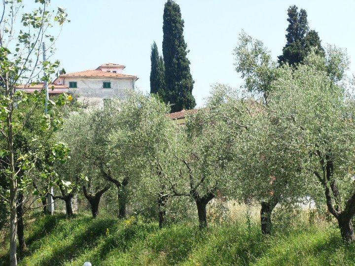 Casali Romei Sarzana Ngoại thất bức ảnh